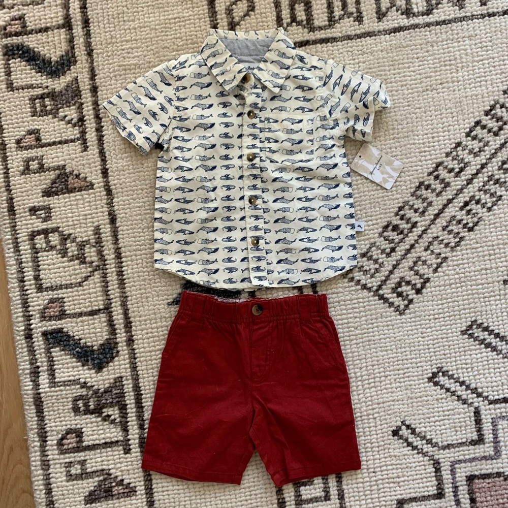 Tommy Bahama Baby Boy size 12m